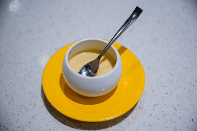 Photo soup cream without blender