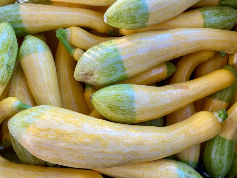 Photo ciorbă de legume