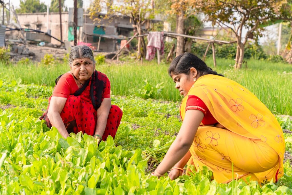 Photo rural entrepreneurship