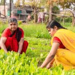 Photo rural entrepreneurship