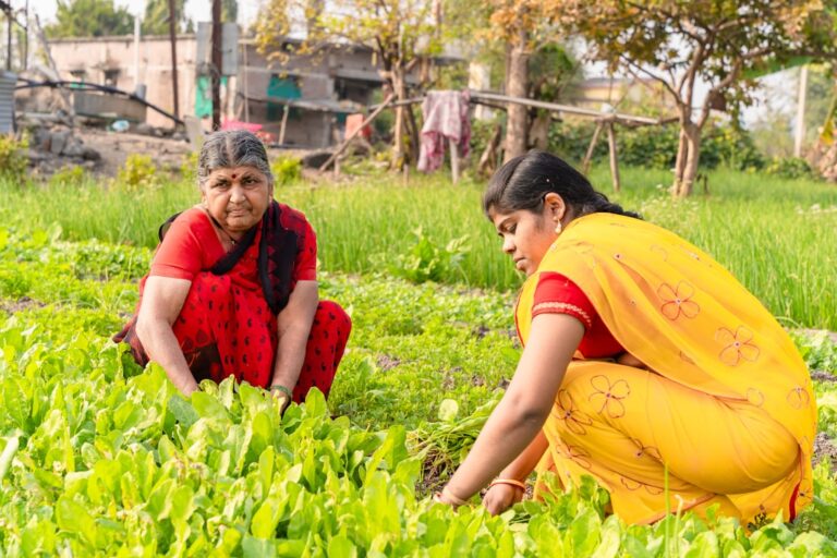 Photo rural entrepreneurship