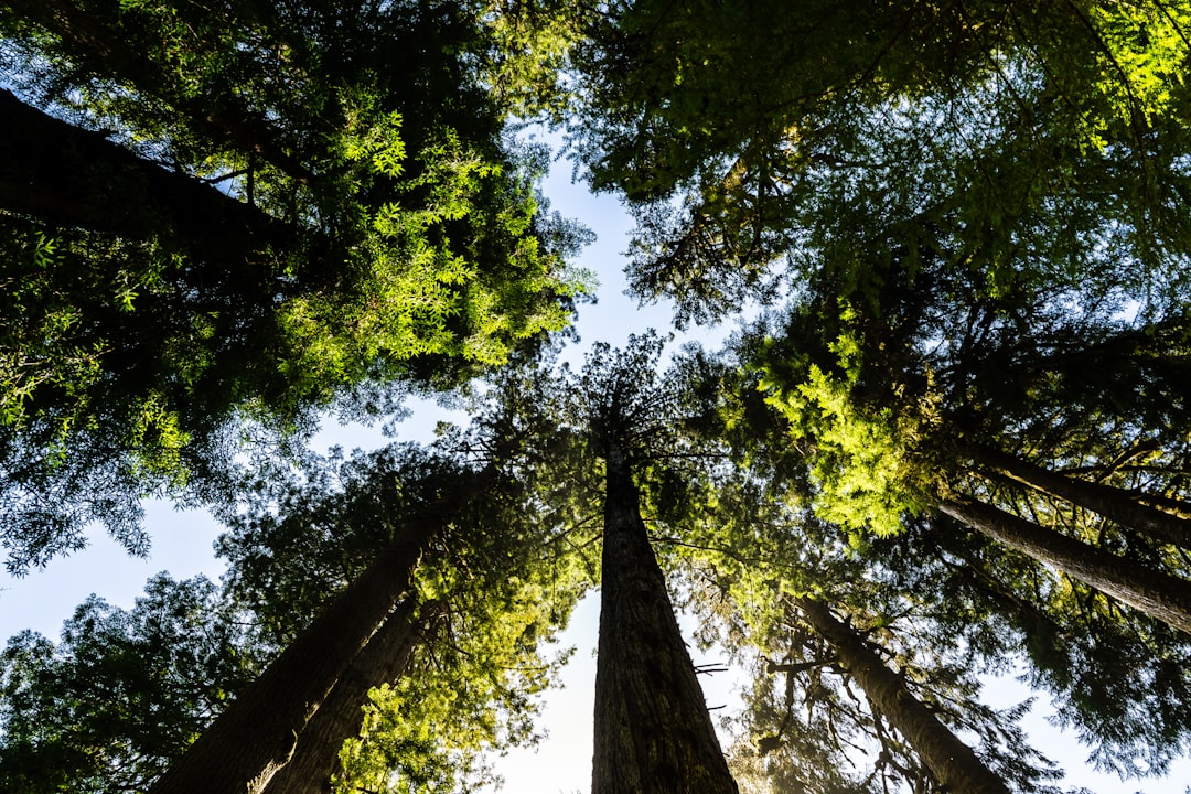 Photo biodiversity