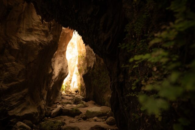 Photo habit of passage