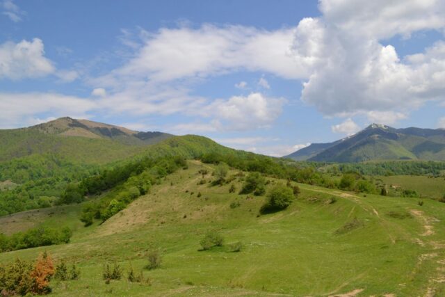 Photo evoluția artizanatului