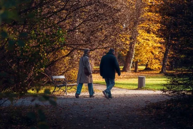 Persoană care merge pe o alee din parc, acoperită de frunze căzute