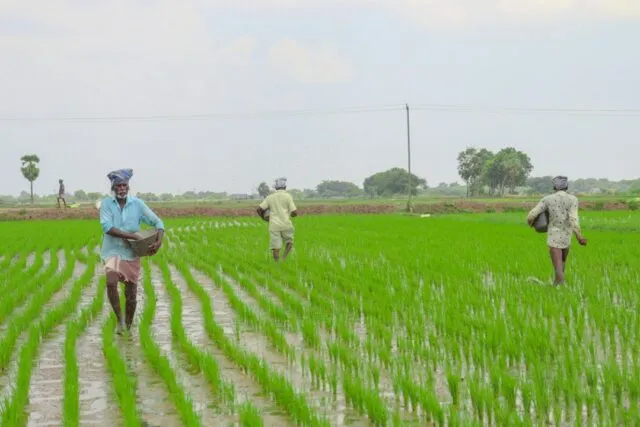 Photo young farmers agricultural technology